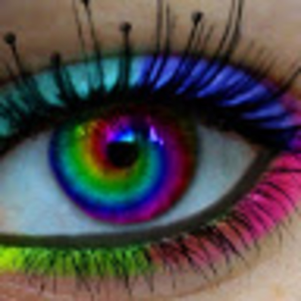 Meet your Posher, Karen ferrantelli